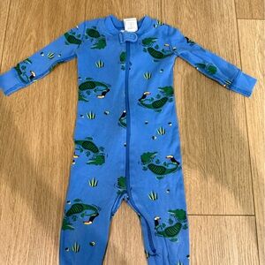Hanna Andersson Blue and Green alligator  Footies